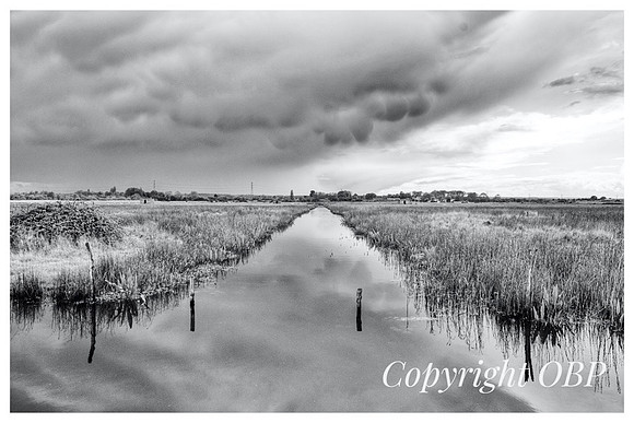 OBP_Oare_036