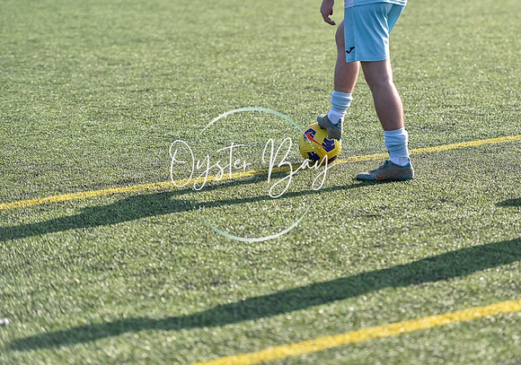 StanhopeRes_2-11_FortunaSwans_020