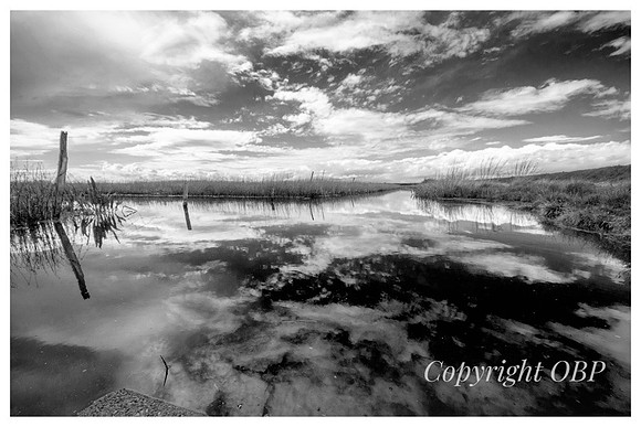 OBP_Oare_039