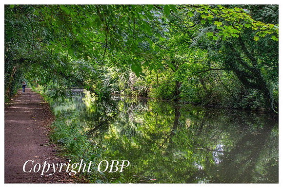 OBP_Apsley_027