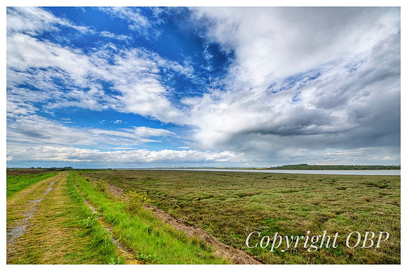 OBP_Oare_031