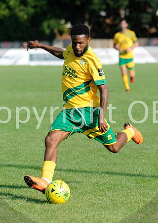 WTFCvAUFC_029