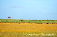 OBP_Oare_20201007A_012