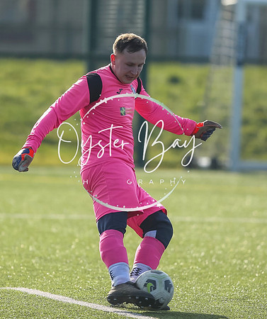 StanhopeRes_2-11_FortunaSwans_008