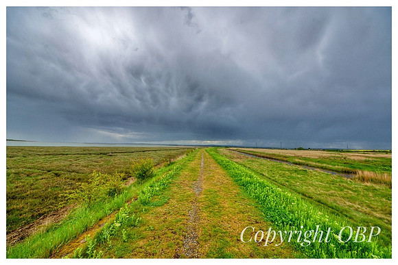 OBP_Oare_032