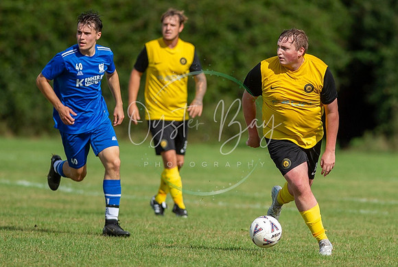 Dynamo_2-0_AsfhfordW_115