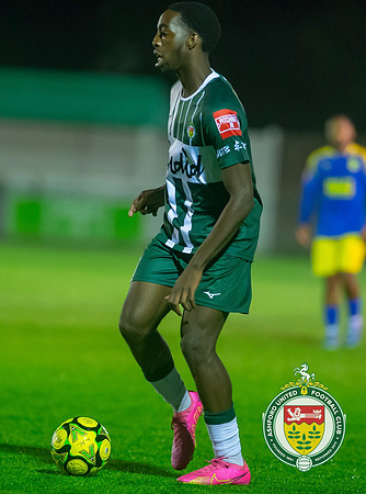 Ashford_3-1_Lancing_League_243
