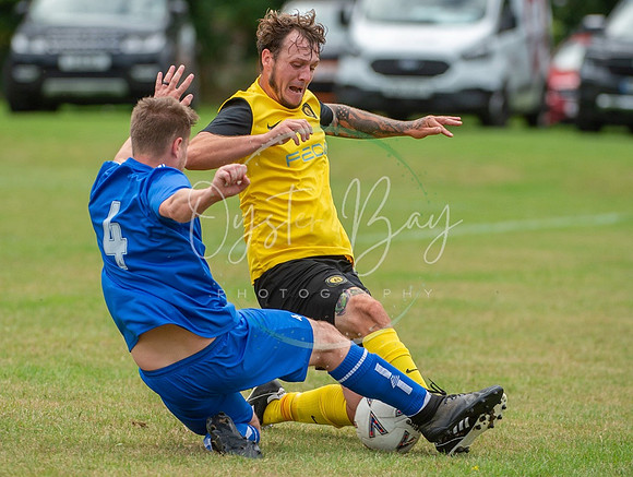 Dynamo_2-0_AsfhfordW_220