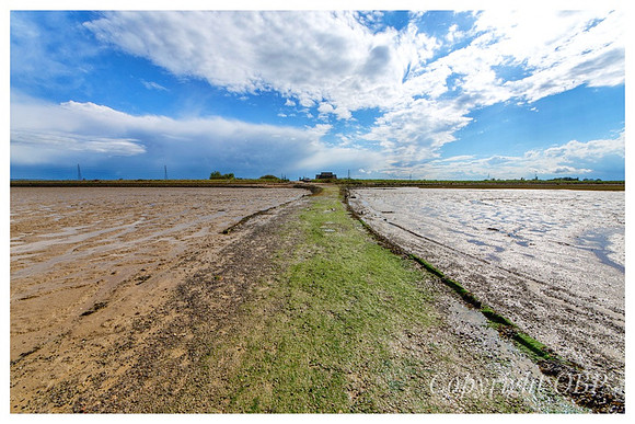 OBP_Oare_112