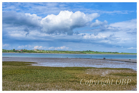 OBP_Oare_082